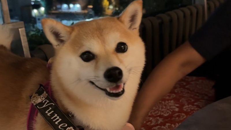 ニューワン高輪