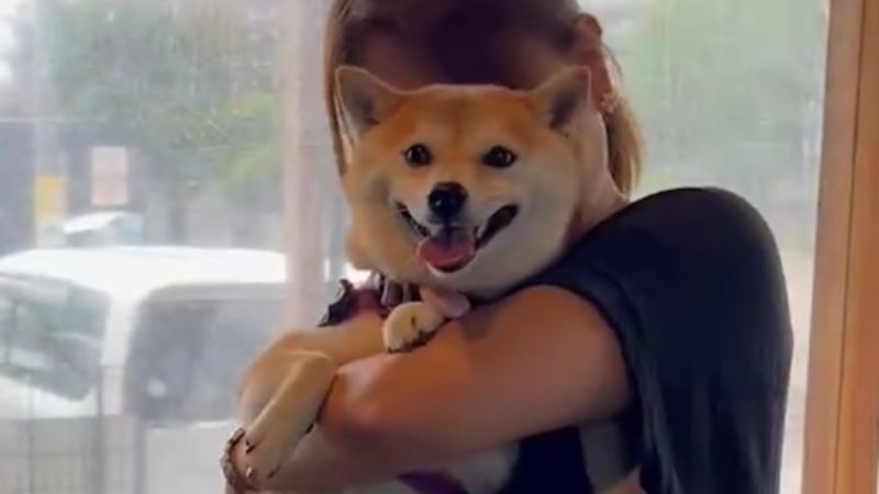 入母屋珈琲津田沼