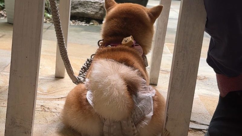 ハーベストテラス品川