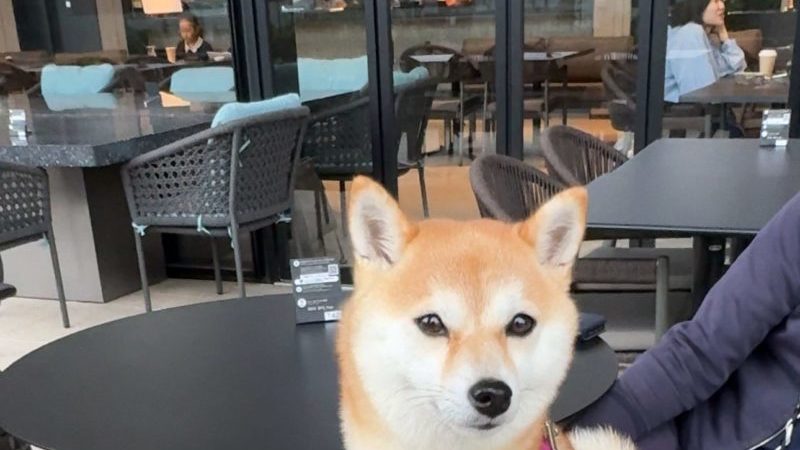 BLUE FRONT まとめ