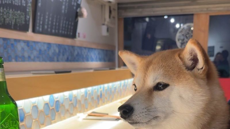 寿し処 花笑みec