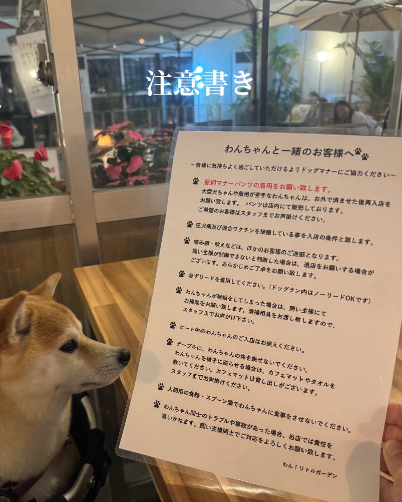 わんリトルガーデンの注意
