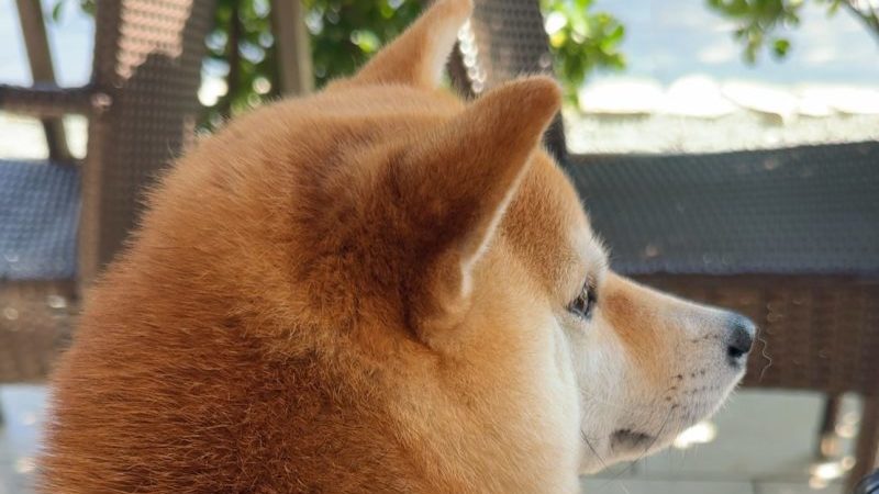 モスカフェ江の島