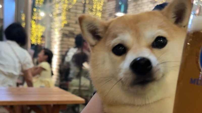 フランツクラブ浜松町ec